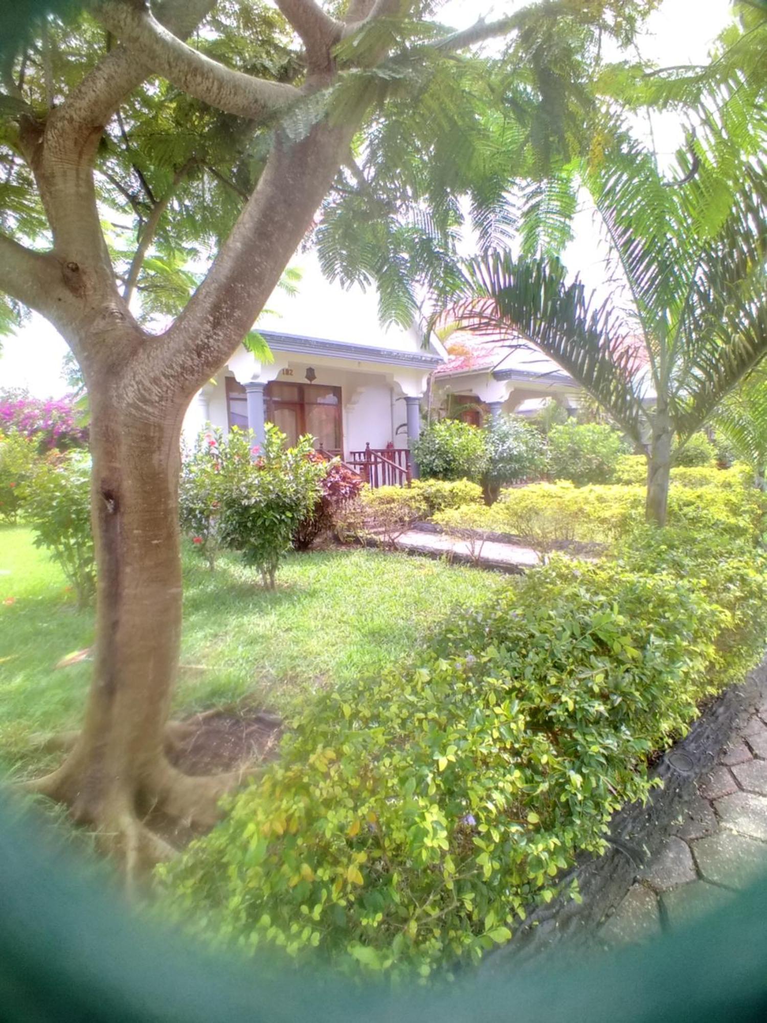 Hotel In Ras Nungwi Exterior foto